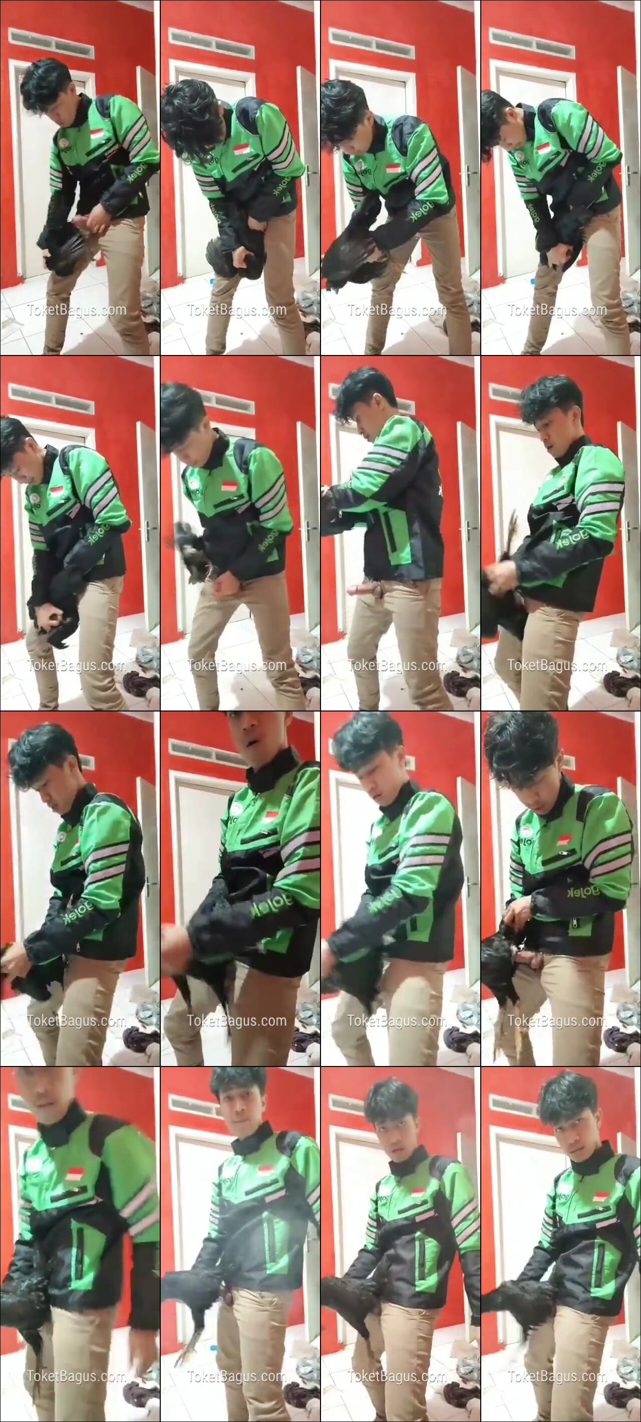 Mentahan video viral Gilang Ojol sama ayam jago